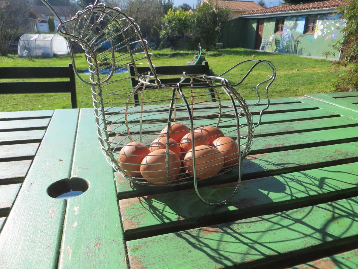Eco-hostel La Casa *